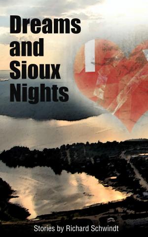 Book cover of Dreams and Sioux Nights