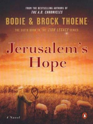 Cover of the book Jerusalem's Hope by Robert Benson