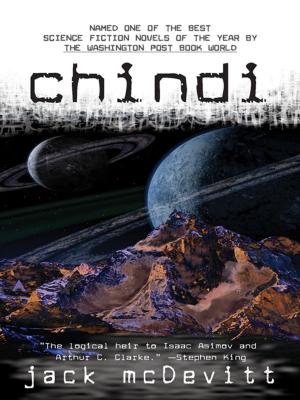 Book cover of Chindi