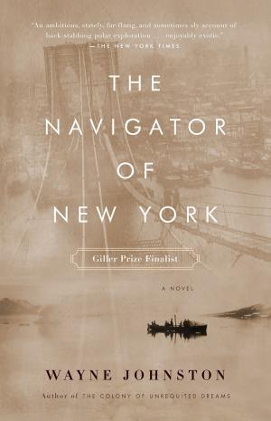 Cover of the book The Navigator of New York by Bernard Bailyn