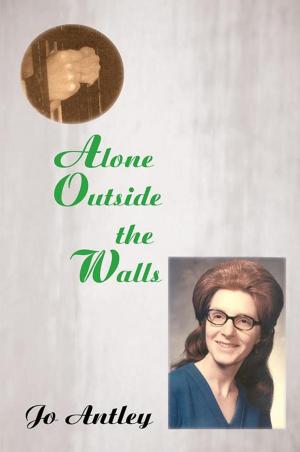 Cover of the book Alone Outside the Walls by Pamela Pamela