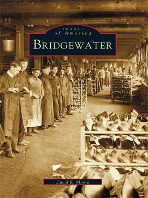 Cover of the book Bridgewater by Allan Carter, Mike Kane