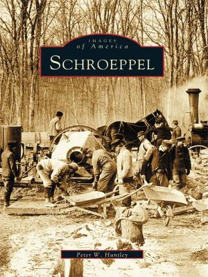 Cover of the book Schroeppel by Bruce D. Heald PhD