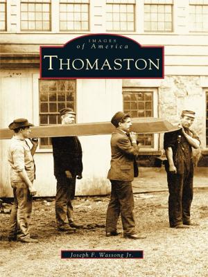 Cover of the book Thomaston by Tiffany Harelik