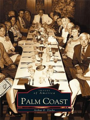 Cover of the book Palm Coast by Mary Fishback
