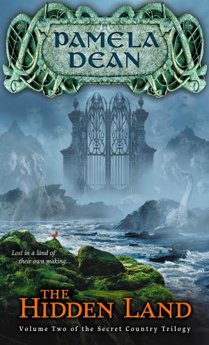 Cover of the book The Hidden Land by Adele Griffin