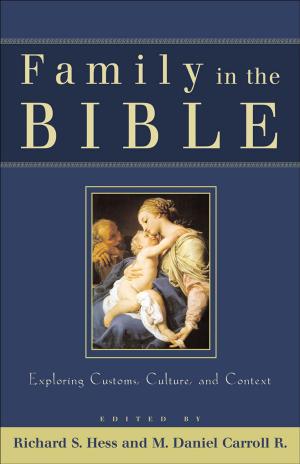 Cover of the book Family in the Bible by Christine Hoover
