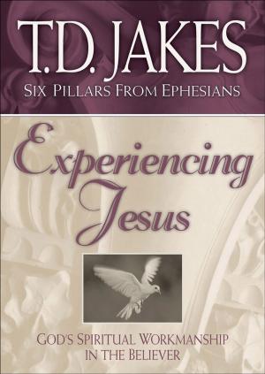 Book cover of Experiencing Jesus (Six Pillars From Ephesians Book #2)
