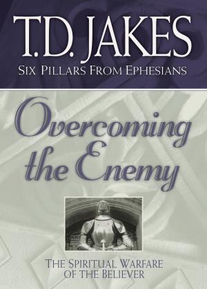 Book cover of Overcoming the Enemy (Six Pillars From Ephesians Book #6)