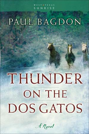 Cover of the book Thunder on the Dos Gatos (West Texas Sunrise Book #4) by Debbie Alsdorf