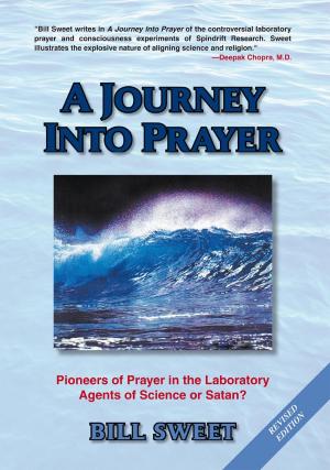Cover of the book A Journey into Prayer by Chris Stern