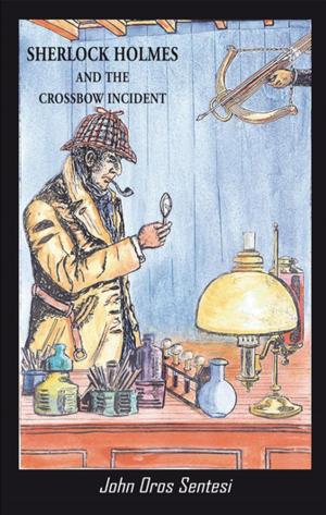 Cover of the book Sherlock Holmes and the Crossbow Incident by Delaney Borenstein