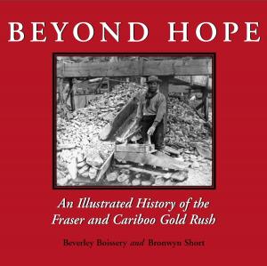 Cover of the book Beyond Hope by Barbara Fradkin