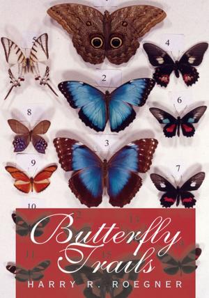 Cover of the book Butterfly Trails by Mary Hope Ibach