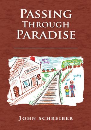 Cover of the book Passing Through Paradise by Margaret Barry