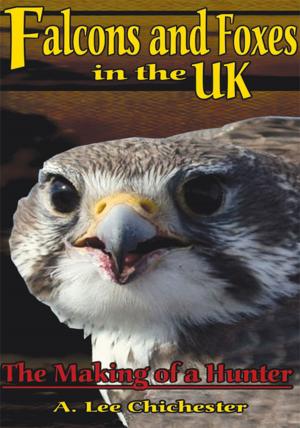 Book cover of Falcons and Foxes in the U.K.