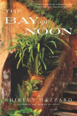 Cover of the book The Bay of Noon by Wesley Stace
