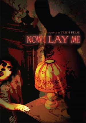 Cover of the book Now I Lay Me by Anthony C. Williams, Marc E. Ortega