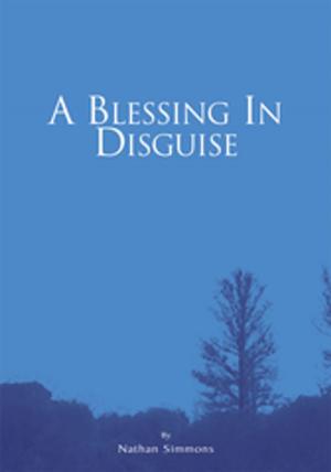 Cover of the book A Blessing in Disguise by Ken Lizotte