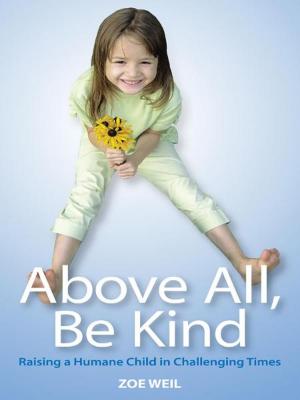 Cover of the book Above All Be Kind by David Johnston and Kim Master