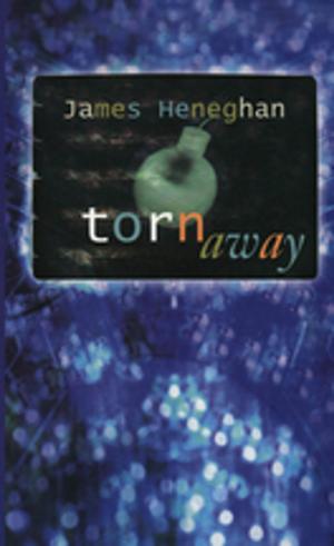 Cover of the book Torn Away by Victoria Marie Hamaty