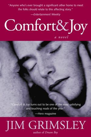 Cover of the book Comfort and Joy by Bill Roorbach