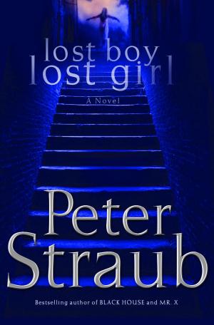 Book cover of lost boy lost girl