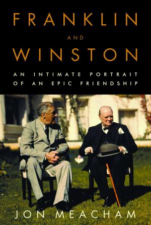 Book cover of Franklin and Winston