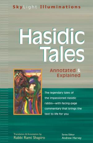 Cover of the book Hasidic Tales: Annotated & Explained by Rabbi Samuel Sandmel, Rabbi David Sandmel
