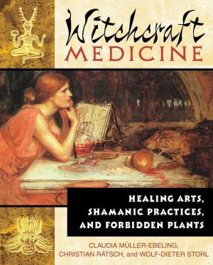 Cover of the book Witchcraft Medicine by Holly Zurich