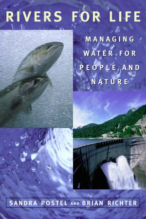Cover of the book Rivers for Life by The Worldwatch Institute