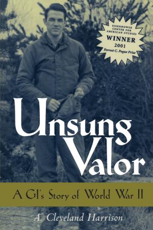 Cover of the book Unsung Valor by Chris Goertzen