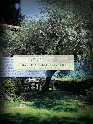 Cover of the book Under The Olive Tree by Seaholme, Jane