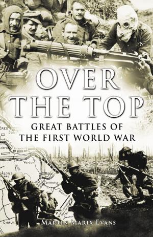 Cover of the book Over The Top by Helena Biggs