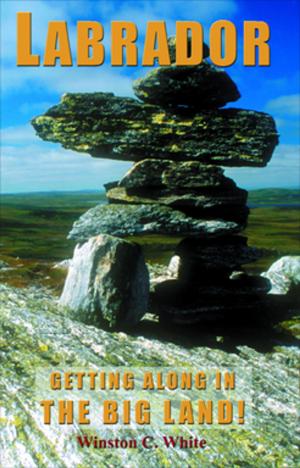 Cover of the book Labrador by John Clarke