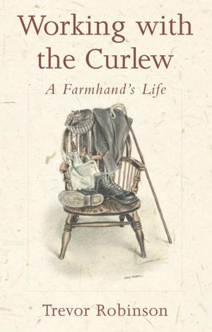 Cover of the book Working with the Curlew by Jon Clift, Amanda Cuthbert
