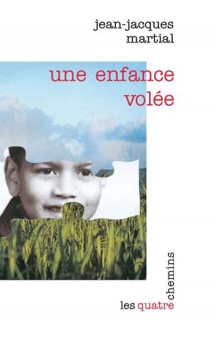 Book cover of Une enfance volée