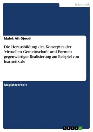 Cover of the book Die Herausbildung des Konzeptes der 'virtuellen Gemeinschaft' und Formen gegenwärtiger Realisierung am Beispiel von learnetix.de by Darius Nadery