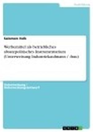 Cover of the book Werbemittel als betriebliches absatzpolitisches Instrumentarium (Unterweisung Industriekaufmann / -frau) by Christian Müller-Thomas