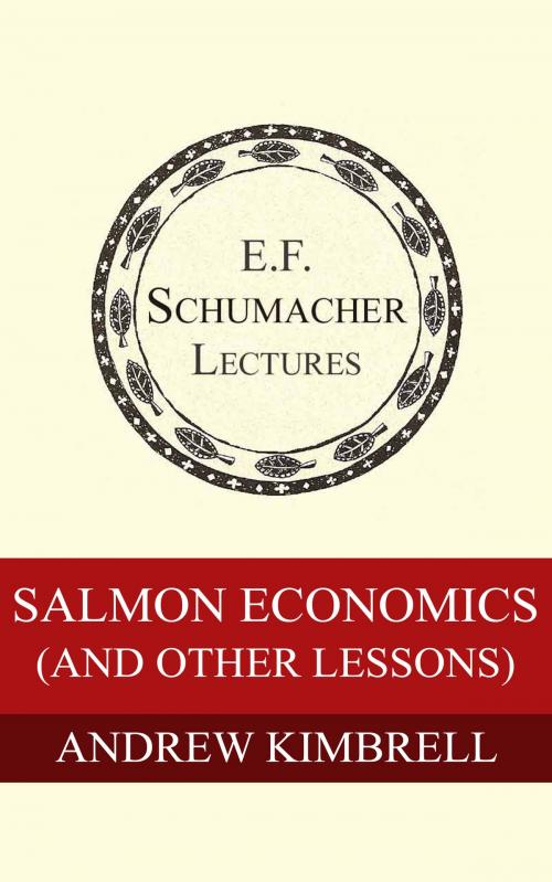 Cover of the book Salmon Economics (and other lessons) by Andrew Kimbrell, Hildegarde Hannum, Schumacher Center for a New Economics