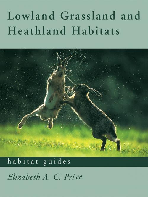 Cover of the book Lowland Grassland and Heathland Habitats by Elizabeth Price, Taylor and Francis
