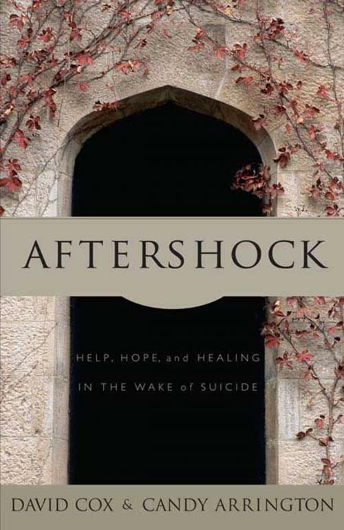 Cover of the book Aftershock by Candy  Neely Arrington, David Cox, B&H Publishing Group