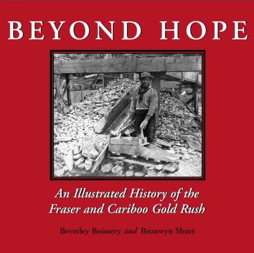 Cover of the book Beyond Hope by Beverley Boissery, Bronwyn Short, Dundurn