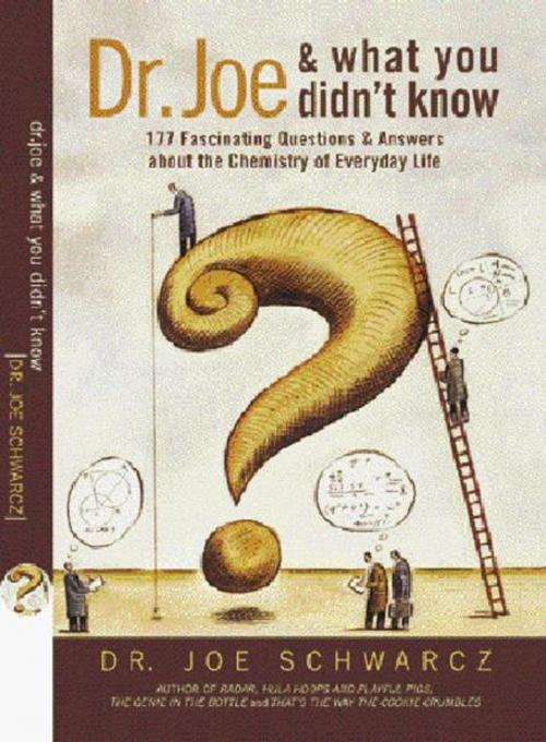 Cover of the book Dr. Joe And What You Didn't Know by Dr. Joe Schwarcz, ECW Press