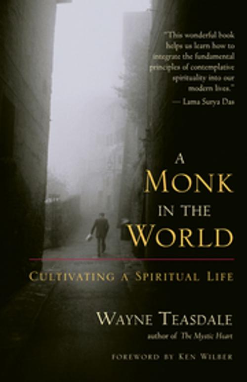 Cover of the book A Monk in the World by Wayne Teasdale, New World Library