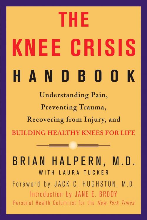 Cover of the book The Knee Crisis Handbook by Brian Halpern, Potter/Ten Speed/Harmony/Rodale
