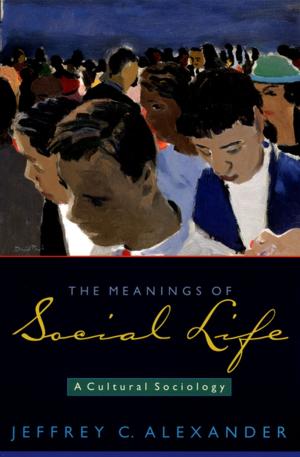 Cover of the book The Meanings of Social Life by 