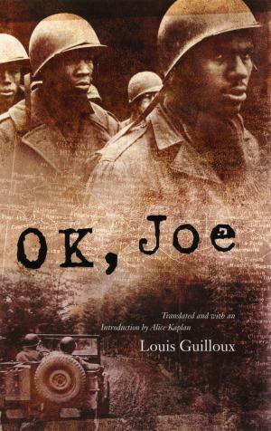 Cover of the book OK, Joe by Richard Ivan Jobs