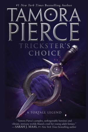 Cover of the book Trickster's Choice by Judy Donnelly