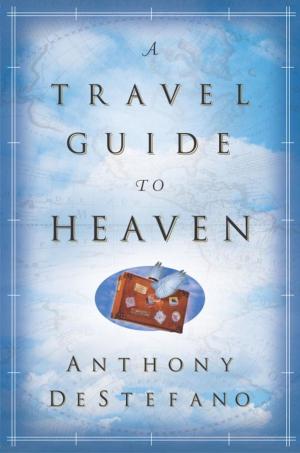 Cover of the book A Travel Guide to Heaven by Henry Brandt, Kerry L. Skinner